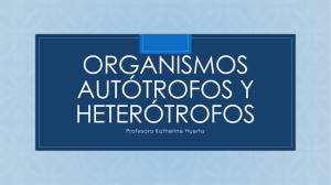 Organismos autótrofos y heterótrofos