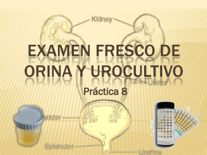 EXAMEN FRESCO DE ORINA Y UROCULTIVO