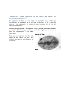 (HerSexo005) ¿Cuántos corpúsculos de Barr tendría una persona
