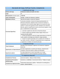 Perfil analista cobro