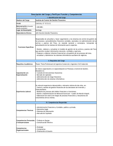 Analista de Control de Gestión Financiera