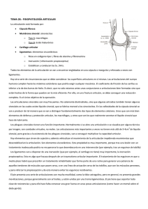 TEMA 28.- FISIOPATOLOGÍA ARTICULAR