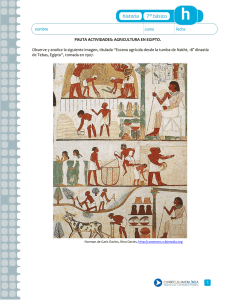 PAUTA ACTIVIDADES: AGRICULTURA EN EGIPTO. Observe y