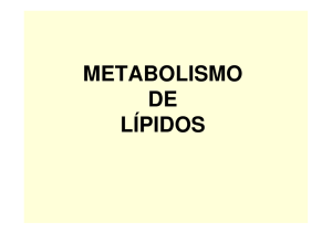 METABOLISMO DE LÍPIDOS