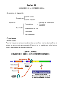 Capítulo 12 - Biomilenio