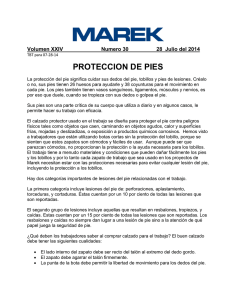 proteccion de pies