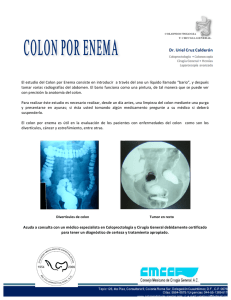 El estudio del Colon por Enema consiste en introducir a través del