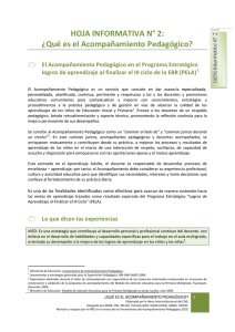 Qué es el Acompañamiento Pedagógico?