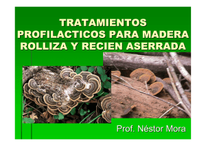 Protección por diseño