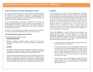 Color de la piel