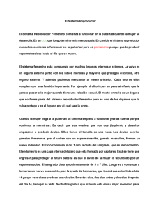 PDF sistema reproductor - Aprendiendo de muchas formas en Sexto