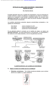 epitelios glandulares
