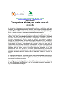 Transporte de árboles para plantación a raíz desnuda