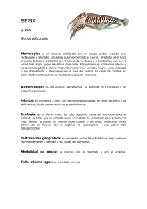 sepia - Centre Interactiu del Peix