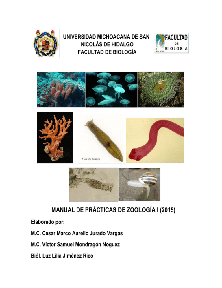 Manual De Prácticas De Zoología I (2015)