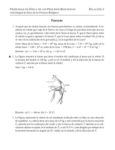 Problemas de Física en Procesos Biológicos: Fuerzas