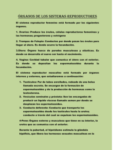 Para aprender mas de los Órganos de los Sistemas Reproductores