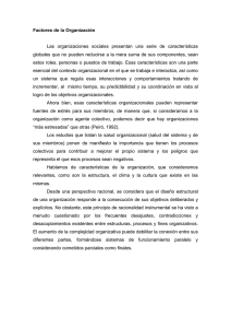Factores de la Organizacion