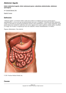 Abdomen Agudo: Causas, Síntomas y Tratamiento
