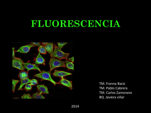 fluorescencia