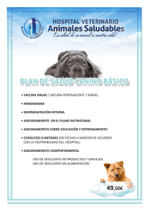 Planos Saude espanhol.cdr