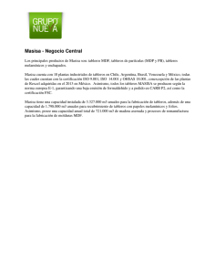 Masisa - Negocio Central