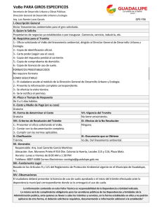 VoBo PARA GIROS ESPECIFICOS