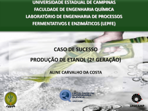caso de sucesso produção de etanol (2ª geração)