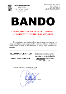 Ayudas individuales para el apoyo al acogimiento familiar de menores