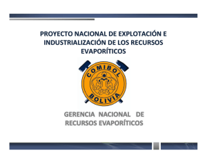 Ing. Luis Alberto Echazú Alvarado, Gerente Nacional de Recursos