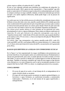 colores negros se deben a la reducción del C y del Mn. El