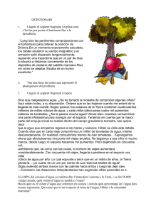 QÜESTIONARI 1. Llegeix el següent fragment i explica com s