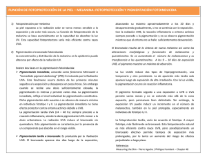 función de fotoprotección de la piel – melanina: fotoprotección y