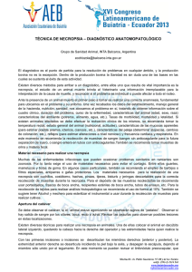 técnica de necropsia – diagnóstico