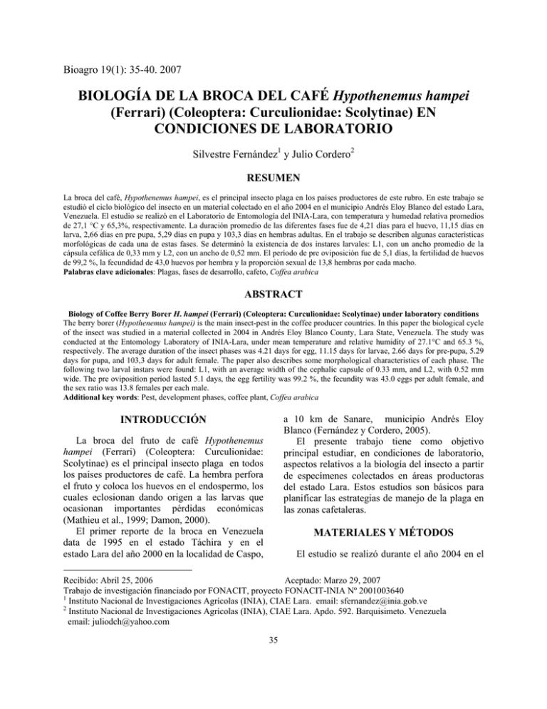 BIOLOGÍA DE LA BROCA DEL CAFÉ Hypothenemus hampei (Ferrari)