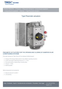 Type Pneumatic actuators
