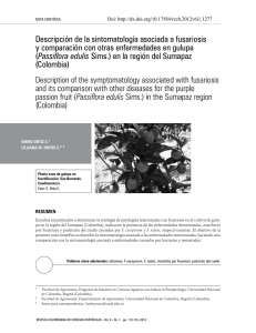 Descripción de la sintomatología asociada a fusariosis y