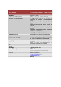 Perfil buscado TÉCNICO ENCARGADO DE MINA