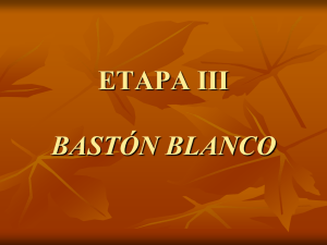 Bastón Blanco: Partes, Tipos y Técnicas de Uso