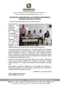 DOCENTES ACOMPAÑANTES DE SOPORTE PEDAGÓGICO