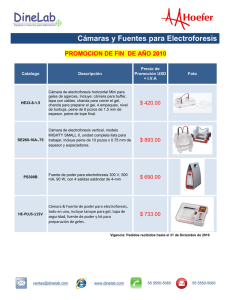 Cámaras y Fuentes para Electroforesis