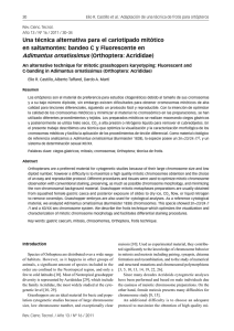 Una técnica alternativa para el cariotipado mitótico en saltamontes