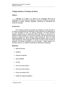 Trabajo práctico 2: Ensayos de llama