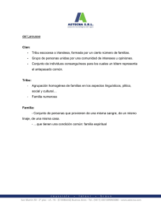 Tribu escocesa o irlandesa, formada por un cierto número de familias.