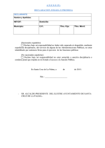 A N E X O  IV: DECLARACION JURADA O PROMESA (Nacionales