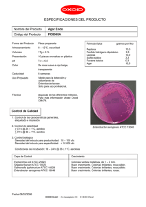 ESPECIFICACIONES DEL PRODUCTO