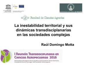 La inestabilidad territorial en las sociedades complejas