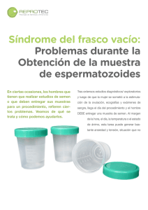 Descargar en PDF