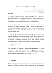 Anatomía y Fisiología Digestiva de la Cabra