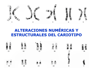 Alteraciones del cariotipo: Variaciones numéricas y estructurales